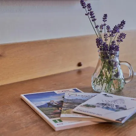 招待所 Sonnwend 3*